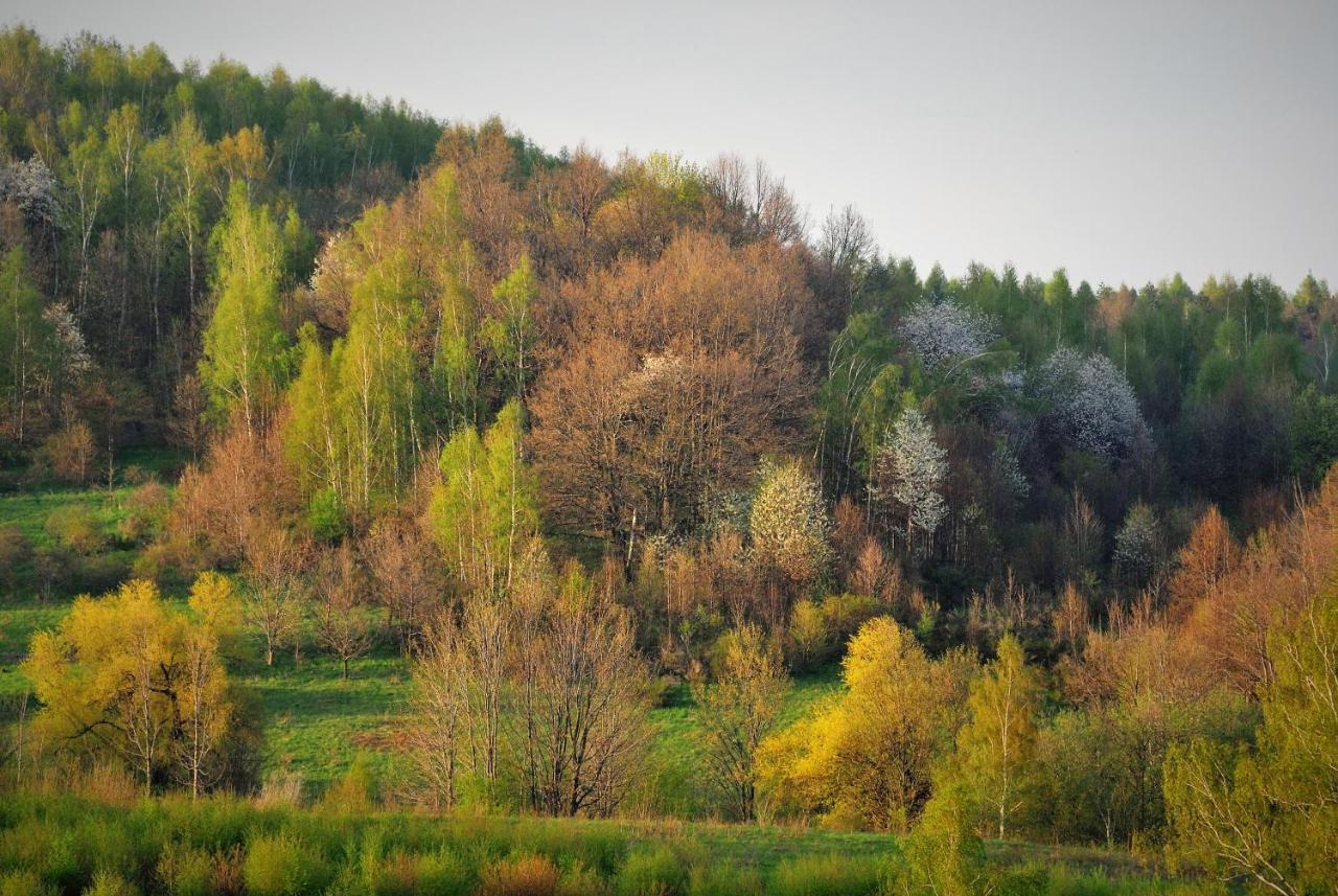Przytulne Studio Borowkowy Zagajnik Piechowice  Exterior foto