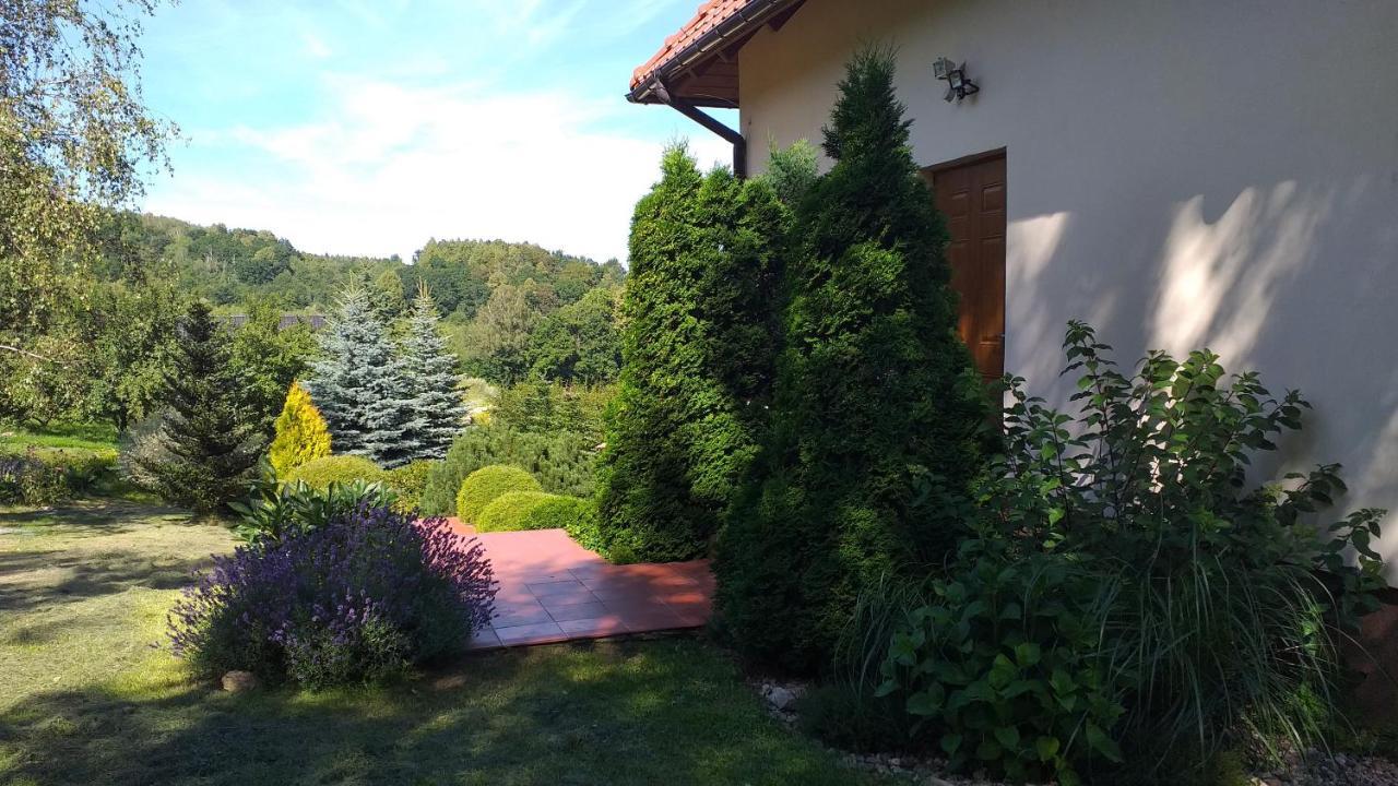 Przytulne Studio Borowkowy Zagajnik Piechowice  Exterior foto