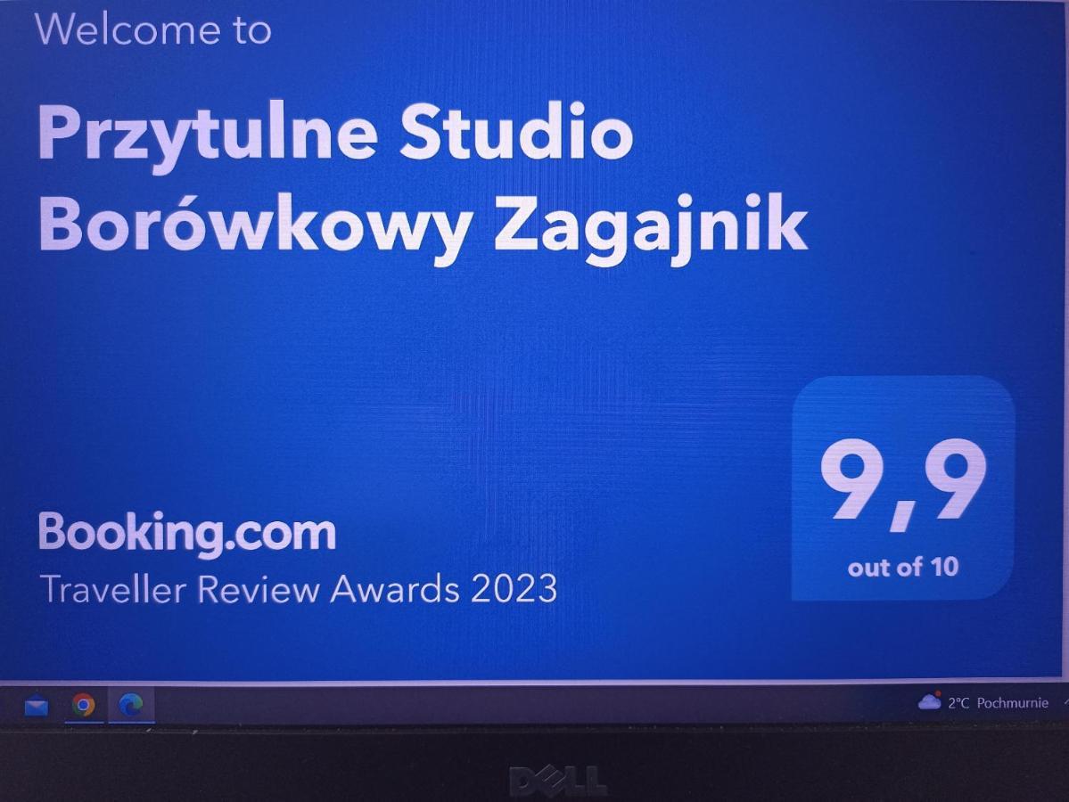 Przytulne Studio Borowkowy Zagajnik Piechowice  Exterior foto